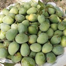 সুস্বাদু ও মিষ্টি আম হিমসাগর